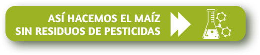 Así hacemos el maíz sin residuos de pesticidas