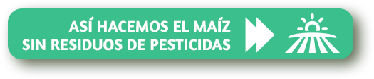 Así hacemos el maíz sin residuos de pesticidas